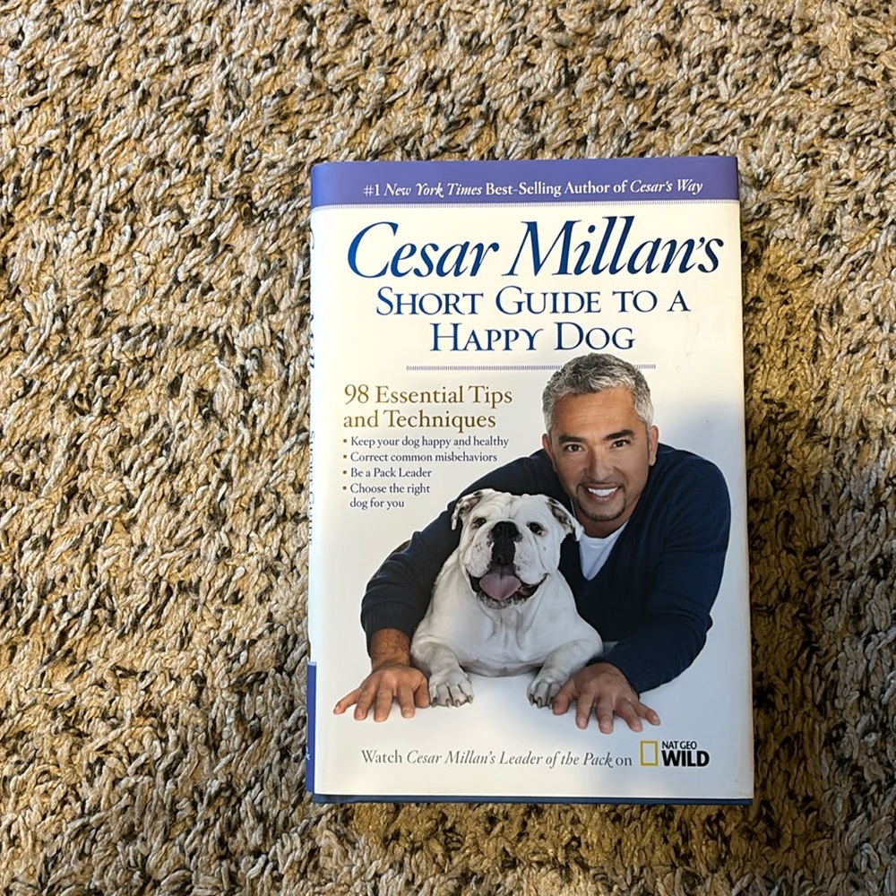 Cesar Millan’s short guide to a happy dog.